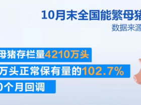 2023年11月20日央视投资资讯