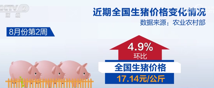2023年8月18日央视投资资讯