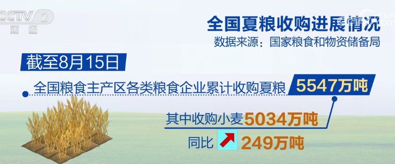 2023年8月19日央视投资资讯