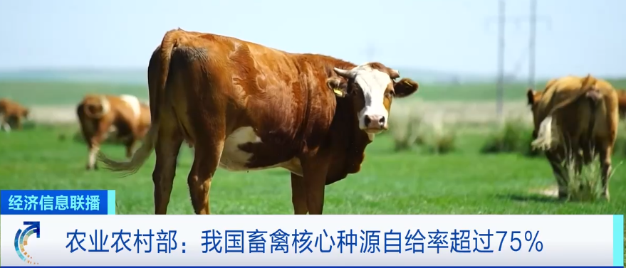 2023年8月19日央视投资资讯