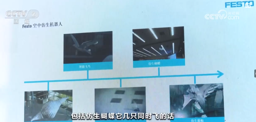 2023年8月20日央视投资资讯