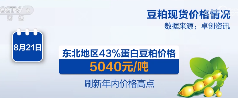 2023年8月25日央视投资资讯